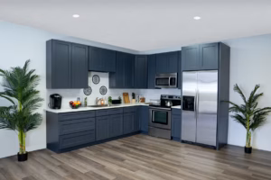 bd0079_c9dfefd8d407436fa3d33ecc1717c0fb~mv2